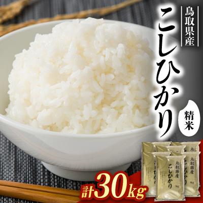 ふるさと納税 智頭町 【食味鑑定士厳選】鳥取県産 コシヒカリ30kg(5kg×6袋) 精米