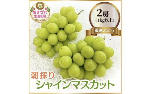 
                  [№5729-0291]シャインマスカット 約1kg以上 2房 たきざわ果樹園 ぶどう 長野 マスカット ブドウ フルーツ 果物 シャイン 果物類
                