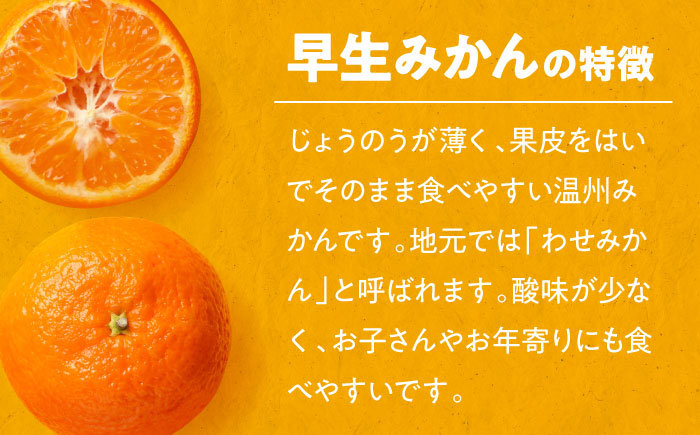 【先行予約】【11月中旬から順次発送】温州みかん（早生） 5kg 愛媛県大洲市/永沼農園 [AGAW016]温州ミカン うんしゅうみかん  みかん  フルーツ ミカン 果物 くだもの 愛媛みかん デザ