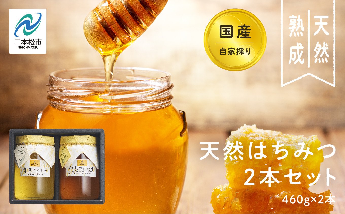 
            自家採り国産天然はちみつ 2本セット(460g×2) 蜂蜜 はちみつ ハチミツ 国産 アカシヤ アカシア ハニー 天然 無添加 おすすめ お中元 お歳暮 ギフト 二本松市 ふくしま 福島県 送料無料【株式会社渡辺養蜂場】
          