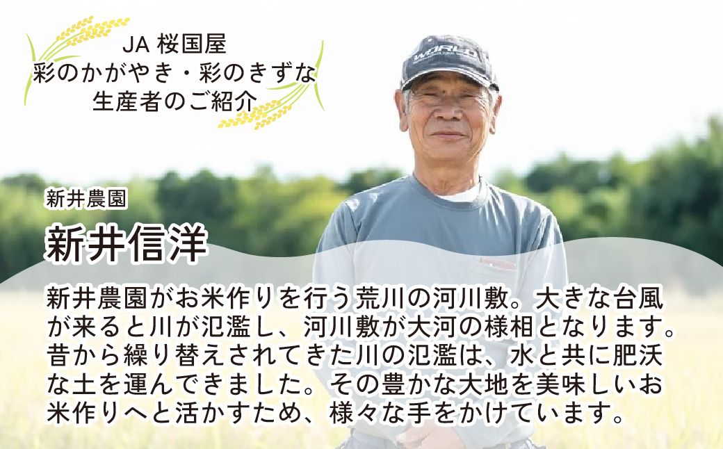 米 新米【令和7年産米】食べ比べ 計10kg (5kg×2袋) 埼玉県ブランド米 彩のかがやき 彩のきずな