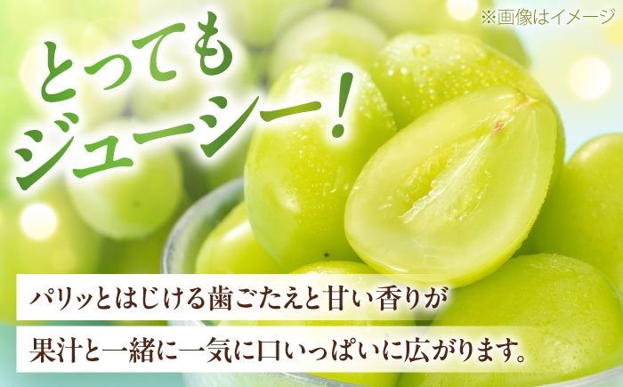 シャインマスカット しゃいんますかっと シャイン マスカット ますかっと 3～5房 約2kg  皮ごと 葡萄 ブドウ