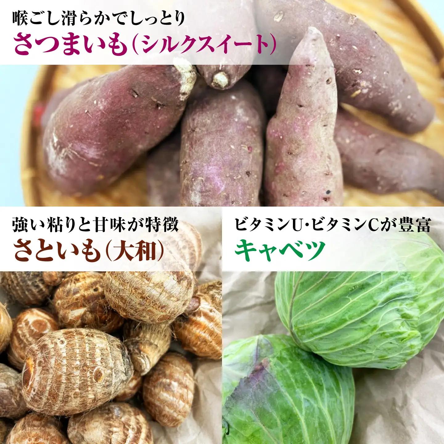 【先行予約】【2026年11月上旬順次発送】【訳あり】こだわり野菜3種（さつまいも・里芋・キャベツ）詰合せ 計4kg 島根県松江市/フジキコーポレーション株式会社[ALDS030]