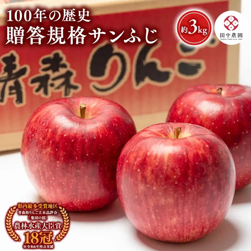 ≪12月発送 ≫ 100年の歴史 贈答規格サンふじ 約3kg 青森県平川市産