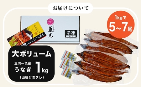 大ボリューム1kg　愛知県三河一色産　うなぎ蒲焼き　（5尾～7尾）・U040