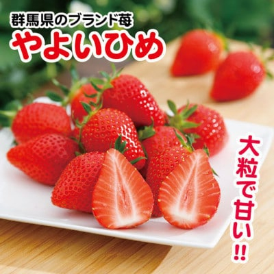 
            ＜2026年2月以降順次発送＞群馬県産やよいひめ　(いちご)260g×8パック【1378623】
          