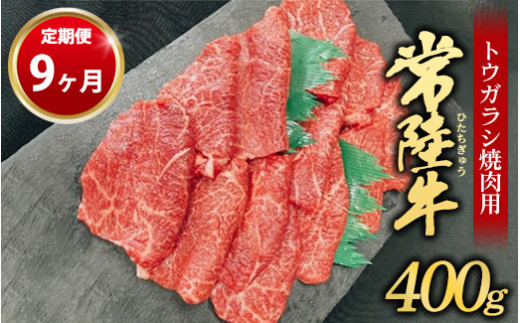 
【定期便 9ヶ月】【希少部位】常陸牛トウガラシ焼肉用400g
