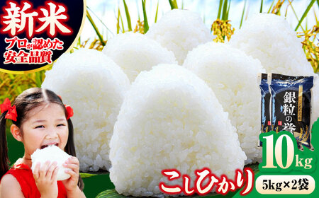 【令和7年産米】米 こしひかり 10kg 白米 お米 ご飯 コシヒカリ 三次市/アグリ君田[APDC002]