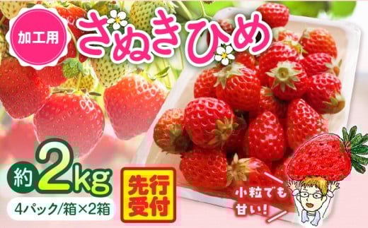 【2026年発送分 先行受付】苺音クラフト〜加工用さぬきひめいちご約2kg | おすすめ 人気 果実 果肉 果物 フルーツ デザート 贈り物 苺 さぬきひめ 贈答 ご褒美 旬の果物 季節の果物 旬 季節 青果物 香川県 三木町  |_mk137-007