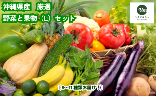 
うるま市を中心とした県産野菜・果物セット（L）【うるマルシェ厳選】
