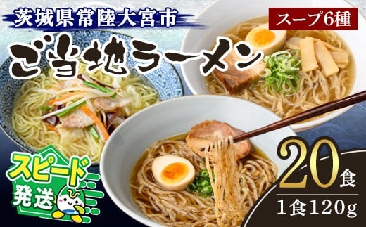 
                  ＜すぐ届く！＞常陸大宮 ご当地ラーメン詰め合わせ ラーメン 拉麺 らーめん 奥久慈ラーメン えごまラーメン セット 食べ比べ 詰め合わせ えごま 醤油 味噌 タンメン とんから 豚骨 生麺 スープ付 スピード発送 すぐ 届く 【（有）中橋製麺所】【ho0867】
                
