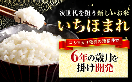 福井県産 いちほまれ 精米 10kg 県産ブランド米 / コメ 白米 新米 米 小浜市 / 梅田東米穀店[BFEK019]