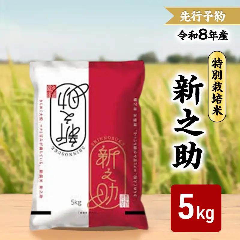 【先行予約】新之助 特別栽培米 三和区 新米 5kg 新之助
