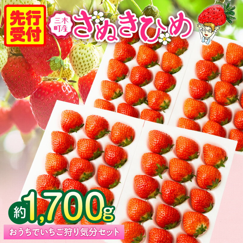 【ふるさと納税】【先行予約】『苺音ファームの』おうちでいちご狩り気分セット約1.7kg イチゴ フルーツ 旬のいちご 旬 果物 デザート 旬の果物 果実 ご褒美 季節 甘い 国産 ギフト お取り寄せ 贈答 贈り物 プレゼント 香川県 三木町 送料無料