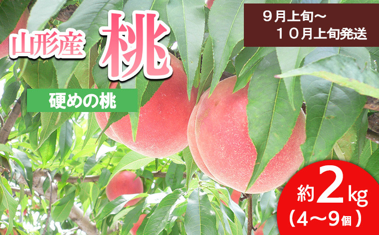 
山形の桃(かための桃・後半) 約2kg(4～9玉) 【令和6年産先行予約】FS23-757 フルーツ くだもの 果物 山形 山形県 山形市 2024年産
