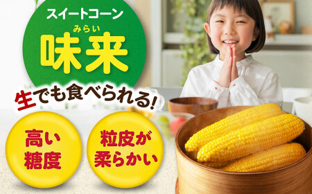【先行予約】とうもろこし味来 26本 [AJAK007] とうもろこし 北海道 産地直送
