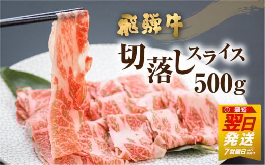 《すぐ届く!! 》《訳あり》飛騨牛 切り落とし スライス 500g (250g × 2 小分け ) 焼肉 牛肉 肉 不揃い わけあり ワケアリ 部位おまかせ 焼き肉 黒毛和牛 和牛 国産 すき焼き 簡易包装 個包装