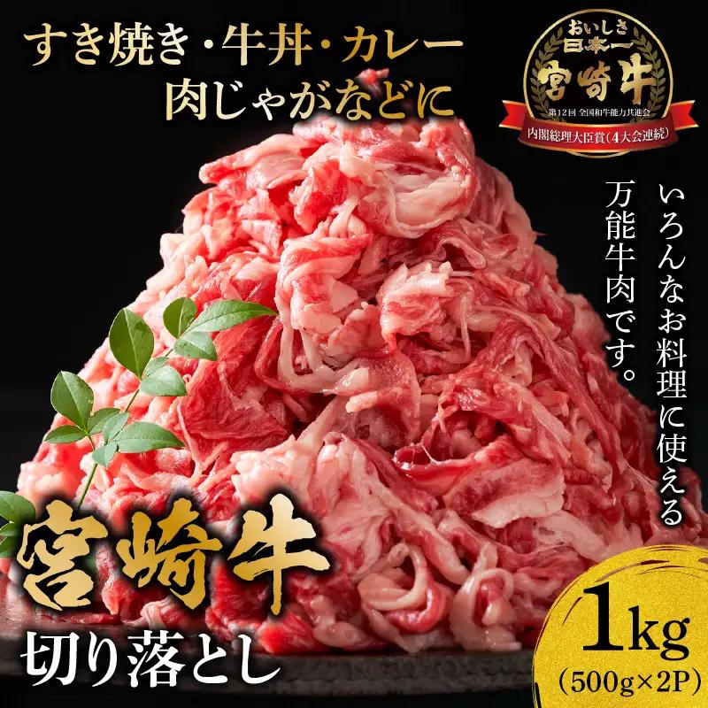 牛肉 切り落とし 牛肉[宮崎牛 1kg]