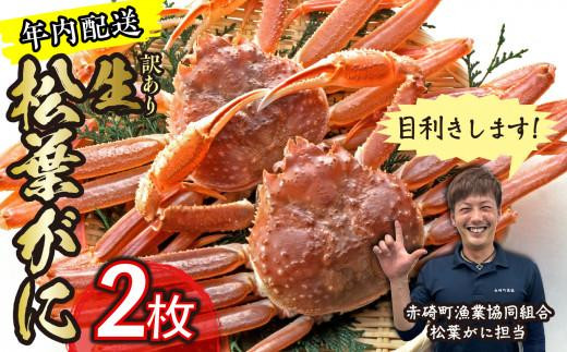 
                  （訳あり）松葉ガニ（生なま）2枚【年内配送】※着日指定不可※北海道、沖縄、一部離島への配送不可【松葉がに 松葉蟹 ズワイガニ 蟹 カニ かに 国産 人気 おすすめ 鳥取県 琴浦町 送料無料】
                
