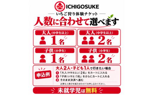 いちご狩り体験 大人2名（中学生以上） チケット | いちごがり 収穫 体験 東武動物公園すぐ 中学生以上 観光農園ICHIGOSUKE 埼玉県 宮代町 
