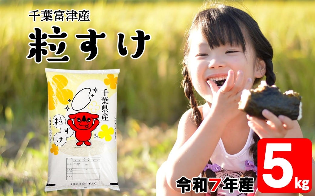 
            令和7年 千葉富津産「粒すけ」5kg 精米
          