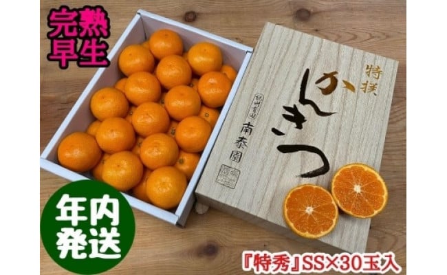 
年内発送 完熟早生 有田みかん 化粧小箱 特秀 小玉 SS サイズ 30玉入
