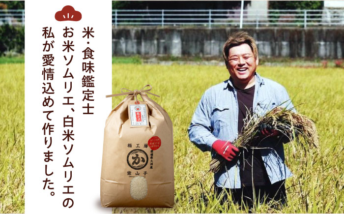 令和6年産新米 お米 ヒノヒカリ 15kg（5kg×3袋）米・食味鑑定士×お米ソムリエ×白米ソムリエ お米 新米 おこめ 白米 ごはん 愛媛県産お米 大洲市/稲工房案山子 [AGAV012]