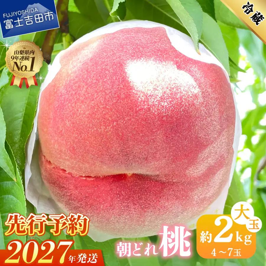 【2027年発送 先行予約】山梨の朝どれ桃2kg 大玉4玉～7玉　もも フルーツ