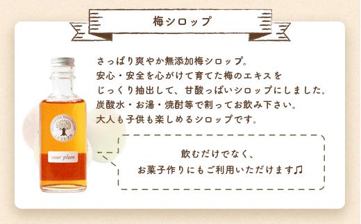 ふかざわ農園の梅シロップ 180ml×3瓶　手づくり シロップ ジュース 希釈用  A3-27【配送不可地域：離島】