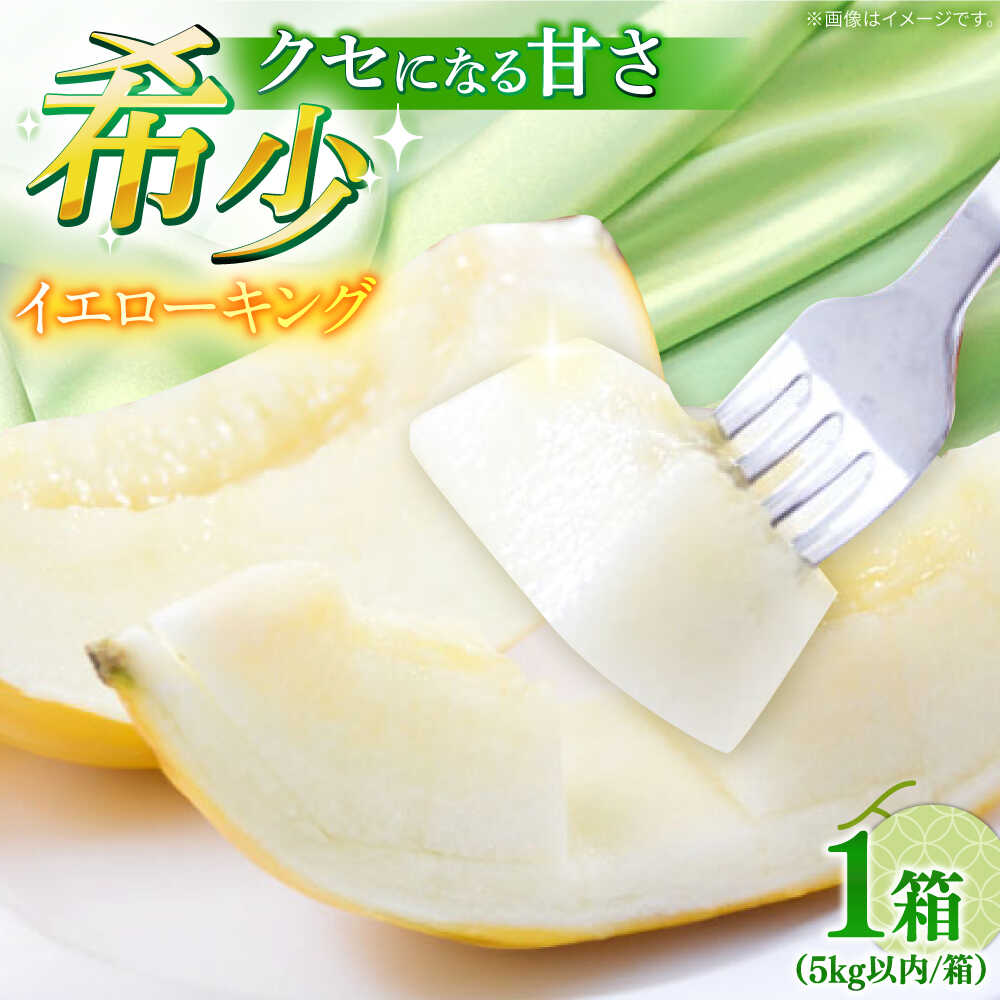 【ふるさと納税】【2027年5月〜発送】メロン イエローキング 1箱 5kg以内（3〜6玉） / メロン めろん フルーツ 果物 / 南島原市 / 南島原果物屋[SCV039]