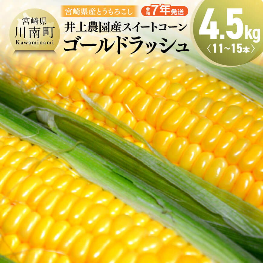 【ふるさと納税】 【令和7年発送】宮崎県産とうもろこし　井上農園産スイートコーン「ゴールドラッシュ」4.5kg - トウモロコシ スイートコーン とうきび 新鮮 九州産 宮崎県産 川南町産 朝どれ 農家直送 送料無料 D03901