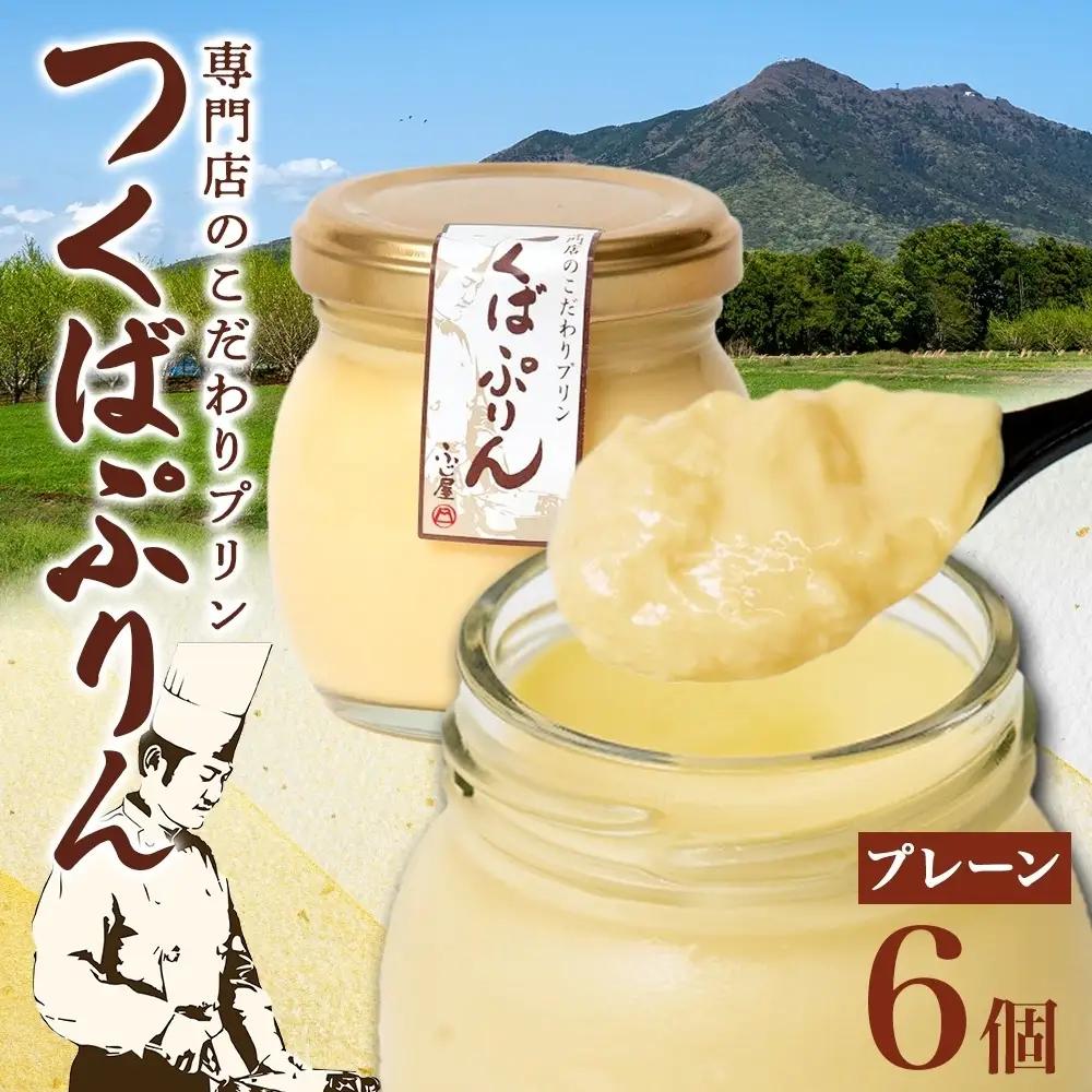 つくばぷりん プレーン 6個 冷凍 プリン ぷりん 牛乳 生乳 ミルク 卵 奥久慈卵 スイーツ 贅沢 洋菓子 おやつ 冷菓 ご褒美 デザート 専門店 人気 グルメ お取り寄せ ギフト プレゼント 贈り