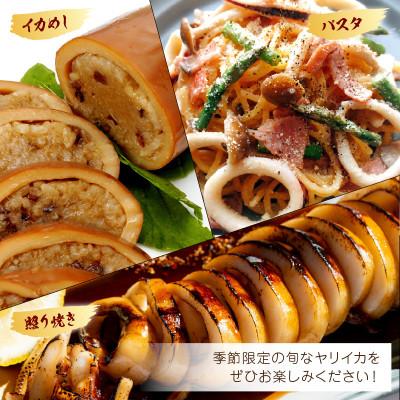 ふるさと納税 美浜町 天然子持ちヤリイカ(500g) |  | 03