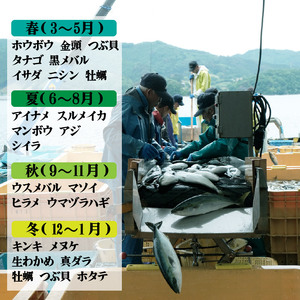 鮮魚便 獲れたて 3～6匹 刺し身 ＼ 刺し身 ／