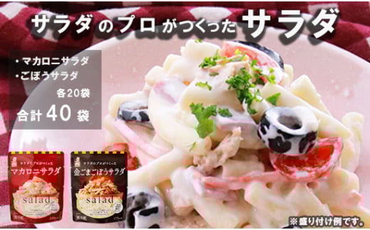 サラダのプロがつくった サラダ 2種類 セット 40袋 個包装 マカロニサラダ 金ごま ごぼうサラダ レトルト パウチ 小分け お弁当 ご飯 おかず サラダ 食べ切り サイズ ケンコーマヨネーズ