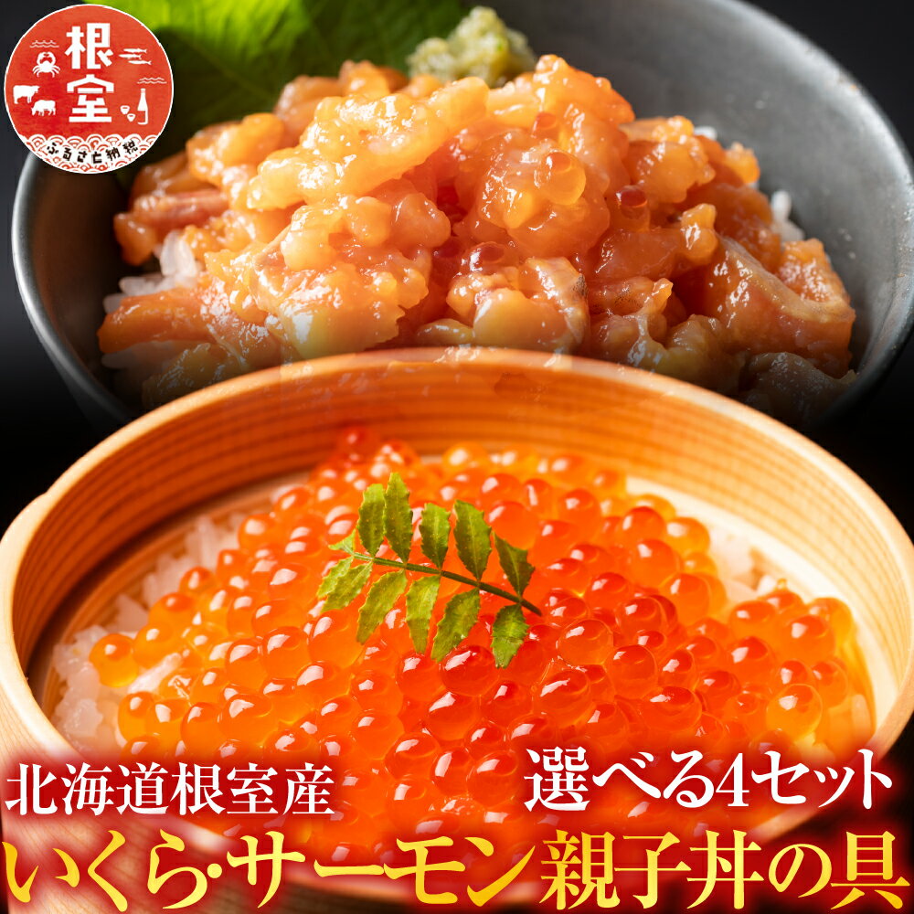 【ふるさと納税】 [北海道根室産] ＜鮭匠ふじい＞ いくら・サーモン親子丼の具 イクラ 鮭卵 鮭 サケ さけ しゃけ シャケ 醤油 醤油漬 醤油漬け 魚卵 お取り寄せ グルメ 海鮮 北海道 根室市 ふるさと納税