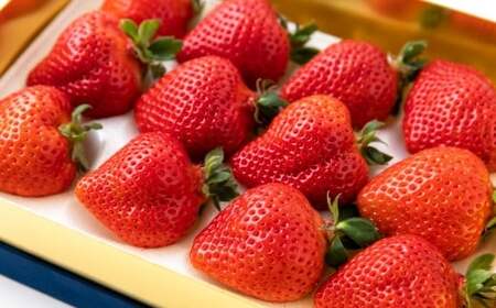 千年いちご スーパープレミアム あまおうイチゴ (450g) 2月お届け あまおう いちご イチゴ 苺 フルーツ 果物 冷蔵 送料無料 福岡県 うきは市 【2026年2月より順次発送予定】