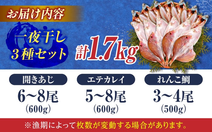 干物 一夜干し アジ 鯵 あじ 鯛 レンコ鯛 カレイ かれい エテカレイ 開き