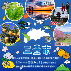 【2025年出荷　先行予約】三豊市産【市場直送 さぬきひめ 2.0ｋｇ以上】_M64-0016