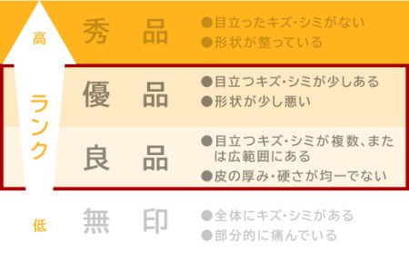 【訳あり】三重県産 せとか ４kg【出荷目安：２月下旬〜３月下旬】 II-57