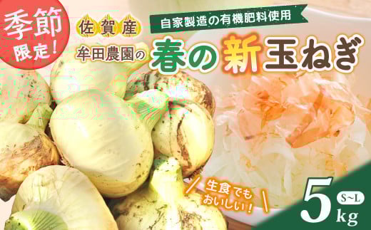 【先行受付】牟田農園の春の新玉ねぎ ５㎏ たまねぎ タマネギ 野菜 新玉ねぎ 玉ねぎ 5kg 玉ねぎ 佐賀県 太良町 M108