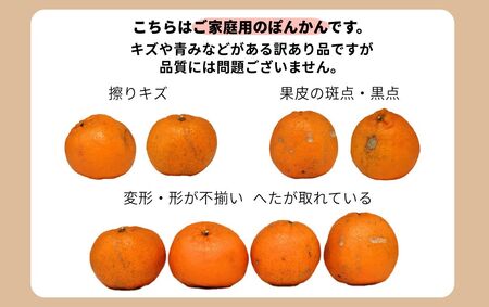 【先行予約】訳ありポンカン 5kg（L~3Lサイズ） 国産 東洋町産 訳あり 甘酸っぱい ジューシー 蜜柑 ミカン高知県 東洋町 四国 お取り寄せ フルーツ 果物 送料無料 TA12 【田中農園】