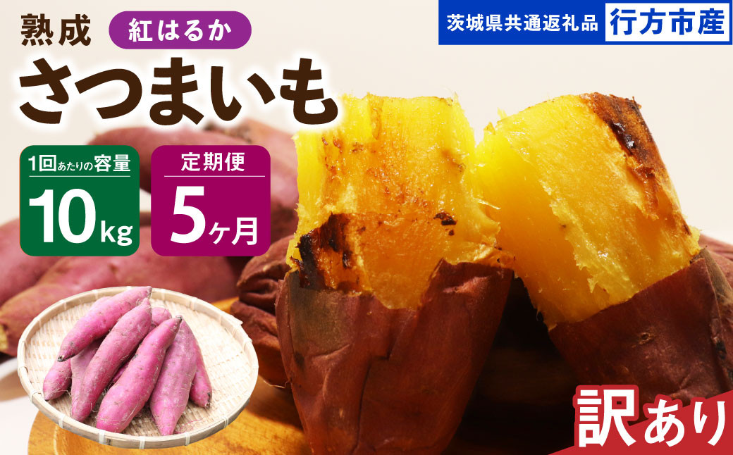 
【5ヶ月定期便】【訳あり】“熟成”茨城県産さつまいも【紅はるか】約10kg(茨城県共通返礼品・行方市産）合計約50kg 芋 いも サツマイモ 野菜 やさい 国産
