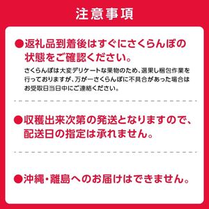 甘さとジューシーさがたまらない 紅秀峰 500g×2パック 合計1kg(２L) 【2025年発送先行予約】 余市 北海道 フルーツ王国 さくらんぼ サクランボ 桜桃 紅秀峰  小分けさくらんぼ  人気