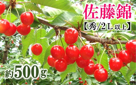 
            【令和7年産先行予約】 さくらんぼ 「佐藤錦」 約500g (約500g×1パック 秀 2L以上) バラ詰め 《令和7年6月中旬～発送》 『マルタニ農園』 サクランボ 果物 フルーツ 産地直送 生産農家直送 山形県 南陽市 [2151]
          
