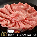 【ふるさと納税】A5等級 飛騨牛 しゃぶしゃぶロース 500g | A5 黒毛和牛 肉 和牛 牛肉 飛騨牛 高級 おいしい 人気 しゃぶしゃぶ 飛騨高山 天狗総本店 BP017