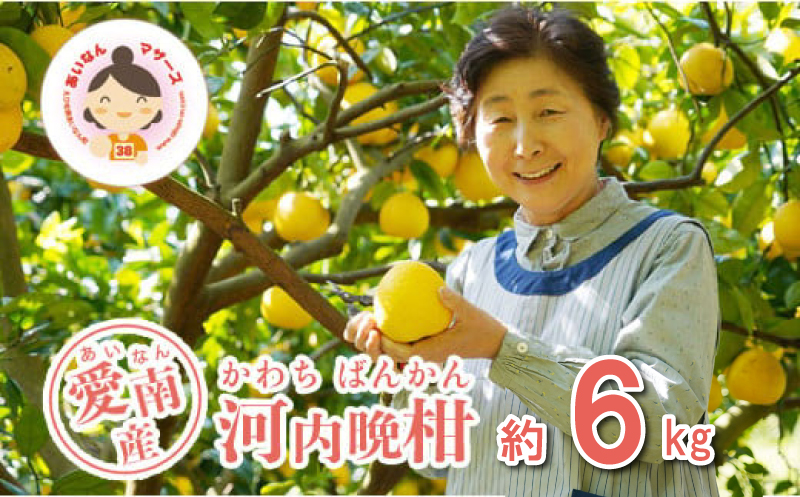 数量限定 先行予約 河内晩柑 6kg 10000円 みかん かわちばんかん mikan 蜜柑 ミカン 愛南ゴールド あいなん ゴールド 文旦 派生 和製 グレープフルーツ 産地直送 国産 農家直送 期間限定 特産品 ゼリー ジュース アイス 等に 人気 限定 甘い さわやか フルーツ 果物 柑橘 蜜柑 あいなんマザーズ 愛南町 愛媛県