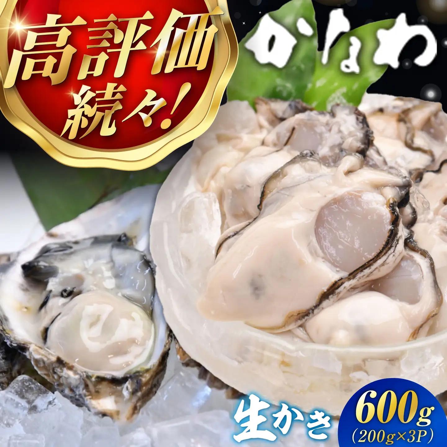 生牡蠣むき身600g 牡蠣[XBP002]