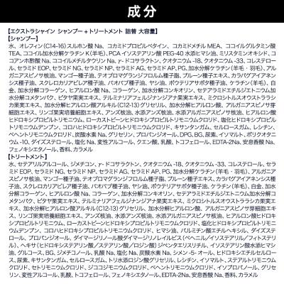 ふるさと納税 滑川町 ダイアン エクストラシャイン シャンプー+トリートメント 詰替大容量2点|19_ntl-130201 |  | 01