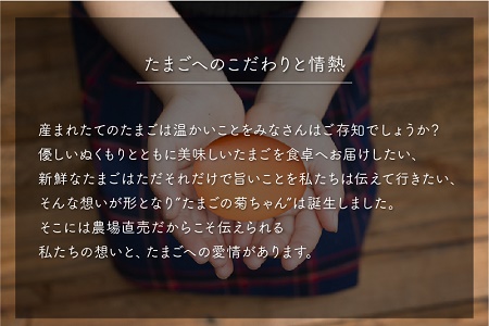 042-03 菊ちゃんのたまご10個入×6パック